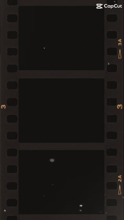 Tallow Lavender Cold Pressed Soap